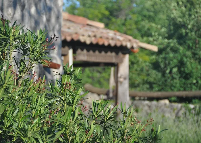 Hébergement de vacances Pepper